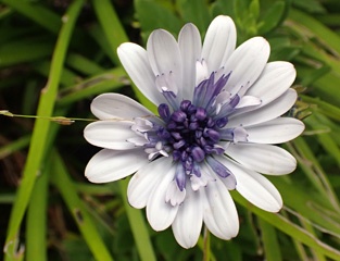 P3300811a